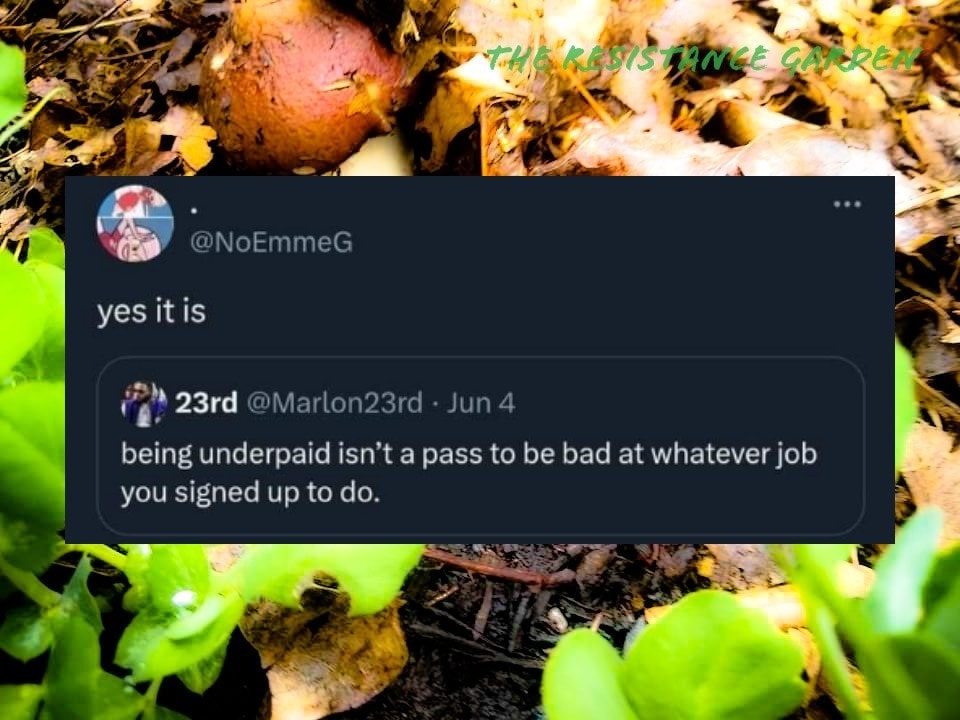 The meme is a screenshot of a Twitter conversation. The original tweet says "yes it is" in response to a question about whether a job is underpaid. The reply to that tweet says "being underpaid isn't a pass to be bad at your job".